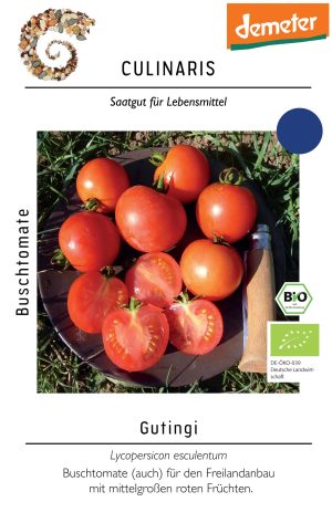 tomate, gutingi, culinaris, rot, buschtomate, garten, saatgut