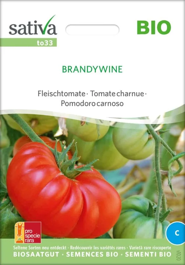 Brandywine tomate Fleischtomate stabtomate samen bio saatgut sativa kompost&liebe kaufen online shop