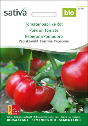 tomatenpaprika rot, paprika, sativa, saatgut, kompostundliebe, samenfestes saatgut, permakultur