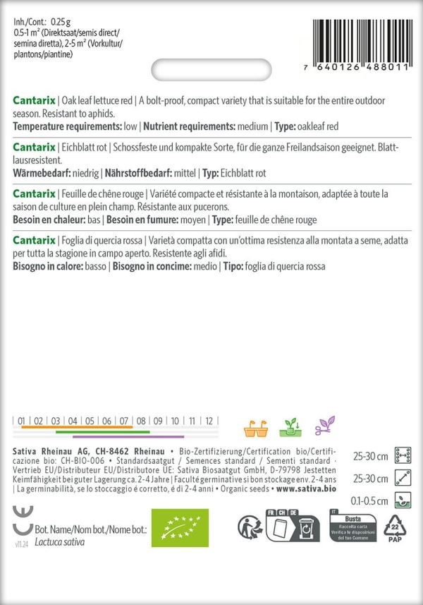 cantarix, eichblatt, rot, freiland, salat, saison, blattlausresistent, gemüse, sativa, permakultur, kompostundliebe