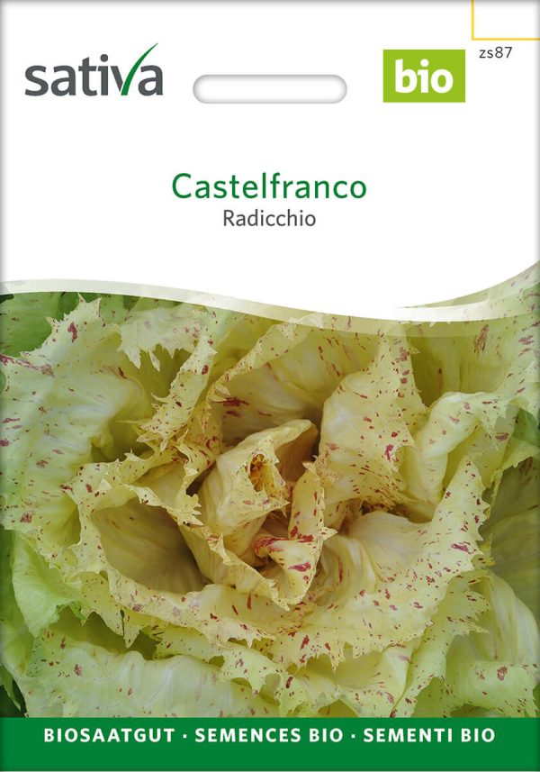 castelfranco, radicchio, zichorie, bio, saatgut, permakultur, kompost und liebe